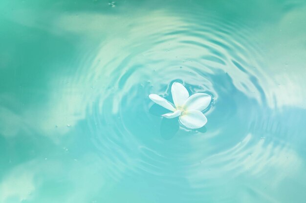 Foto bonito papel tapiz de agua para el uso