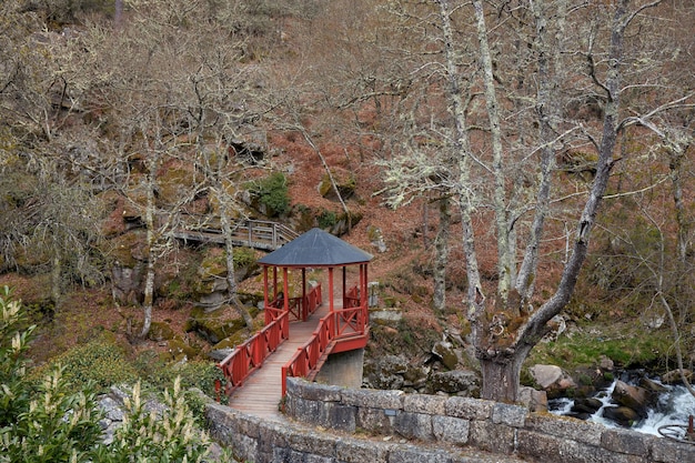 Bonito puente de madera sobre el río Arenteiro en un bosque en Galicia España