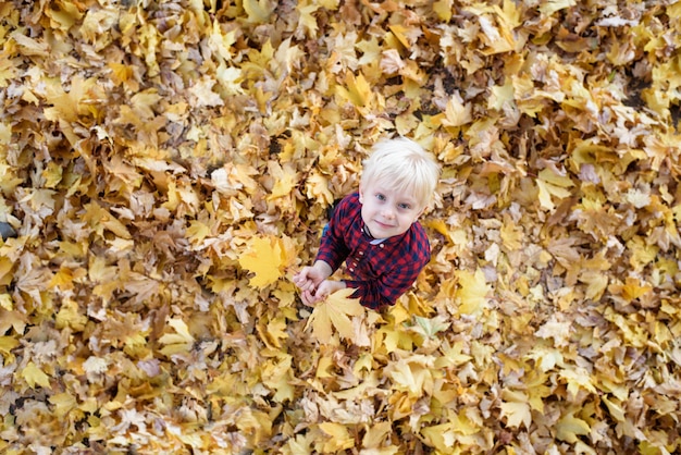 Bonito rapaz loiro fica em uma folhas de outono e olha para cima
