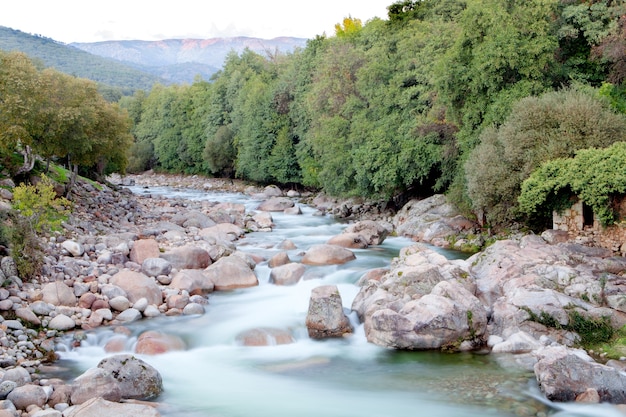 Bonito río con agua clara que fluye