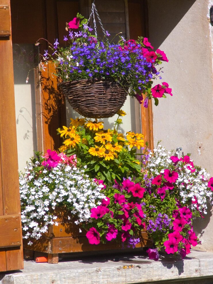 Bonnevalsavoiefrance