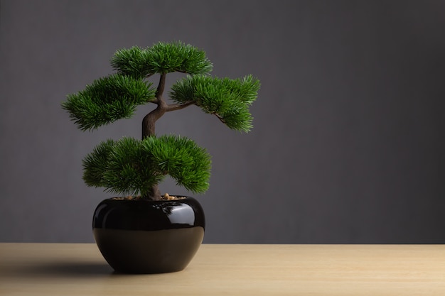 Bonsai auf dem Schreibtisch. Der Hintergrund ist ein dunkelgrauer Hintergrund.