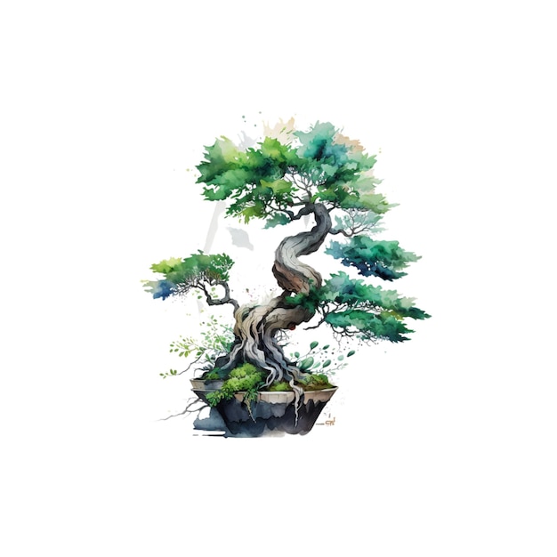 Bonsai-Baum 32