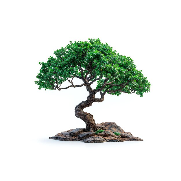 Foto bonsai-baum auf einem felsen vor weißem hintergrund generative ki