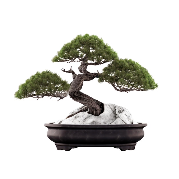 Bonsai-Baum isoliert auf transparentem Hintergrund PNG Generative KI