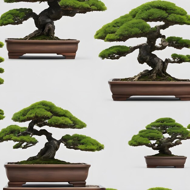 Bonsai de fundo muito legal