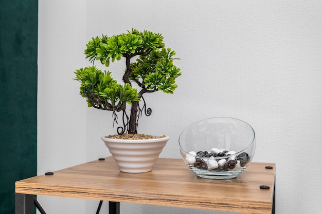 Bonsai und eine Vase mit Steinen auf dem Tisch