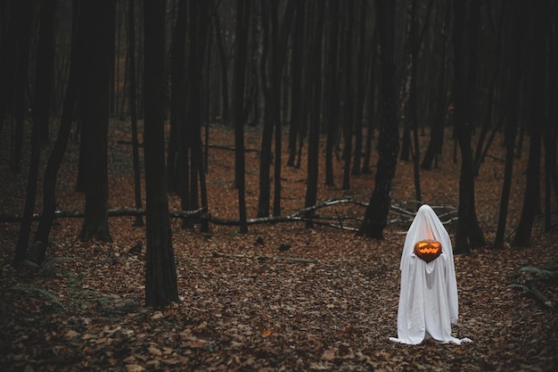 Boo Gruseliges Gespenst hält leuchtende Jack-O-Laterne in stimmungsvollem, dunklem Herbstwald Person gekleidet in weißem Laken als Geist mit Kürbis, der in stimmungsvollen Abendwäldern steht Fröhliches Halloween