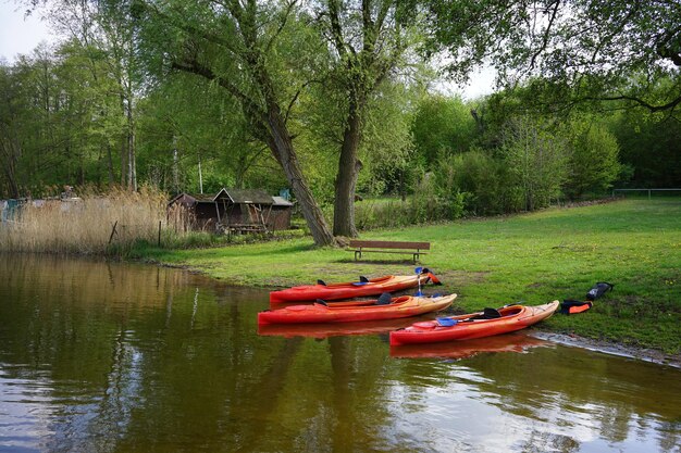 Foto boot am see gegen bäume festgemacht