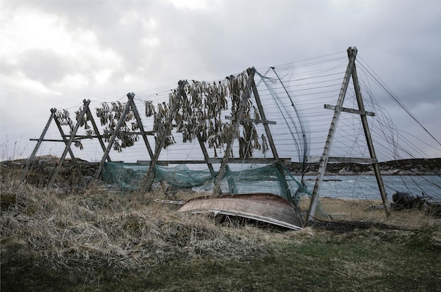 Boot an einem Feld am Fluss vor einem bewölkten Himmel