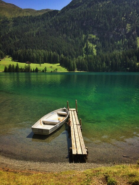 Foto boot an einem see im wald verankert