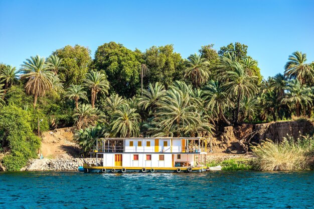 Boot vor Anker an einer Küste des Nils und grünen Palmen