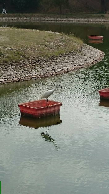 Foto boote auf ruhigem meer