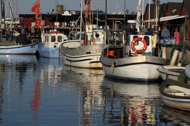 Foto boote, die im hafen anlegen