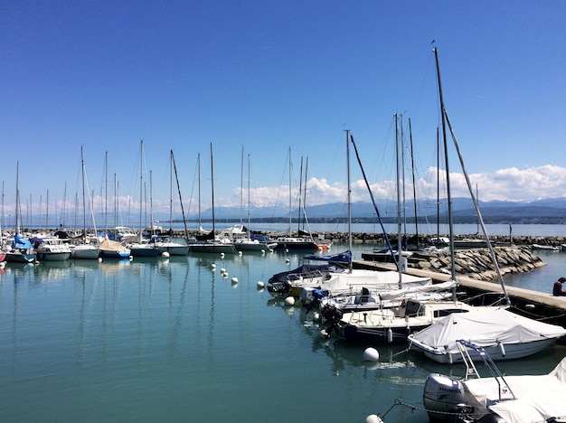 Boote, die im Hafen verankert sind