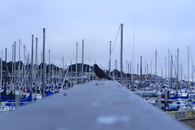 Foto boote im hafen gegen den himmel