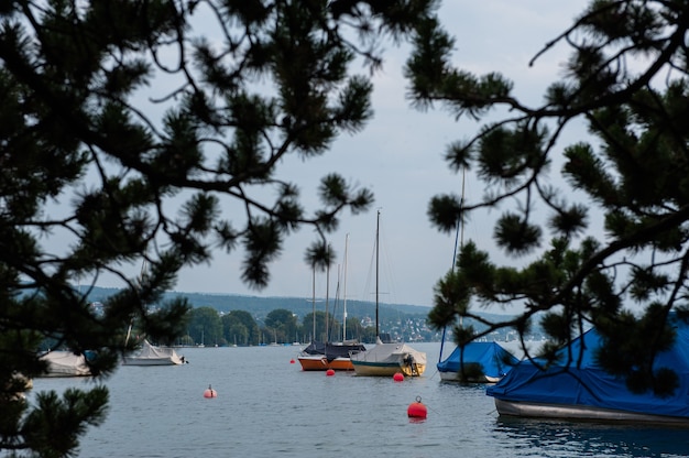 Boote und Bojen auf dem Zürichsee, Schweiz