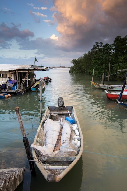 Boote vertäut im Meer