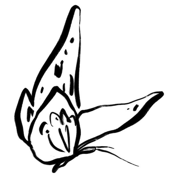 Borboleta adesivo png tinta pincel animal fundo transparente
