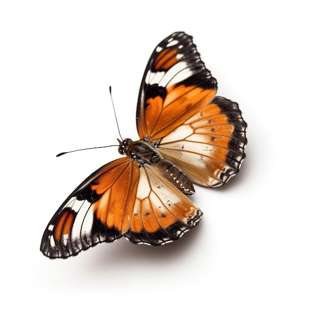 Borboleta aglais urticae em voo em uma geração de AI de fundo branco isolado