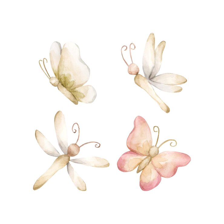 Foto borboleta bonita libélula beige insetos suaves ilustração em aquarela isolada em fundo branco