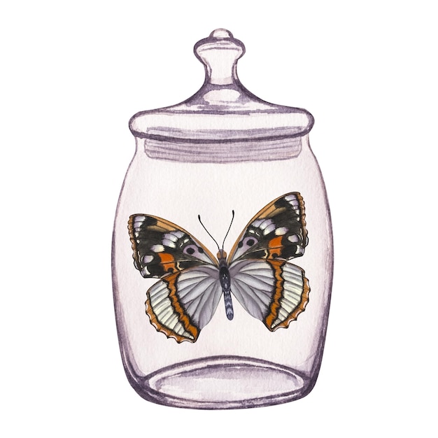 Borboleta dentro do frasco de vidro transparente Ilustração aquarela desenhada à mão isolada no fundo branco Para cartões postais pôsteres adesivos imprime