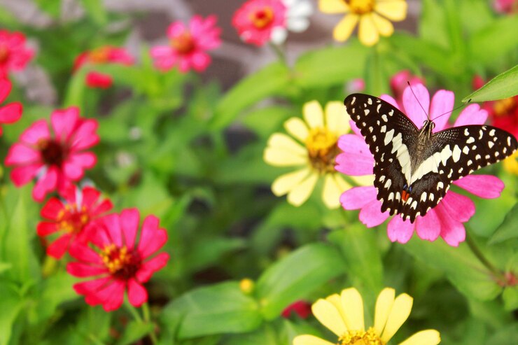 Foto borboleta em flor rosa