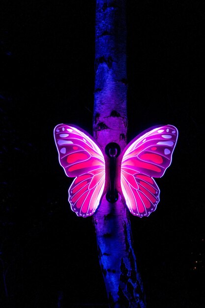 Borboleta fluorescente roxa iluminada em uma árvore no fundo escuro