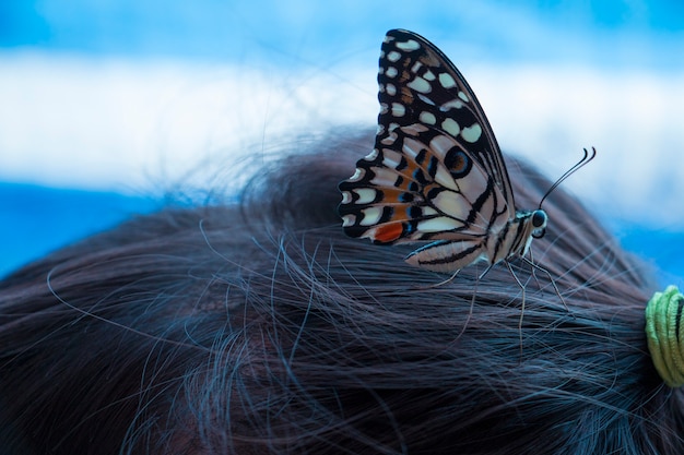 Borboleta na cabeça