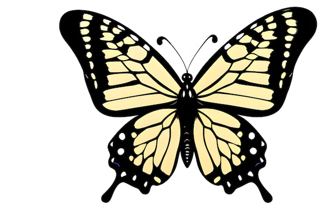 Foto borboleta sobre um fundo branco