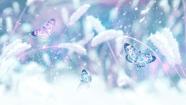 Borboletas cor-de-rosa em voo contra o fundo da grama selvagem na neve imagem de primavera de inverno fabuloso jardim mágico país das maravilhas do inverno