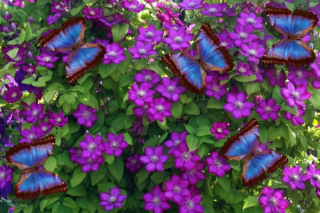 Foto borboletas no jardim de uma casa