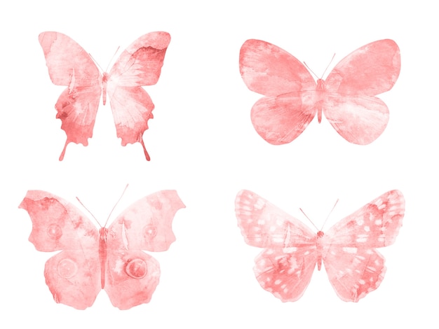 Foto borboletas vermelhas isoladas no fundo branco. mariposas tropicais. insetos para design. tintas aquarela