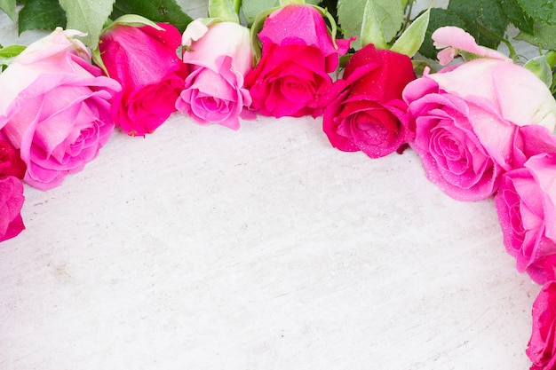 Borda de botões de flores de rosas frescas em branco
