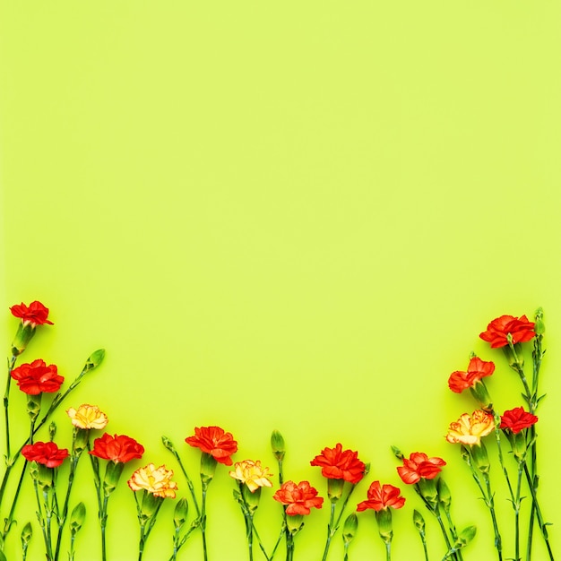 Borda de flores de cravo vermelhas e amarelas em verde