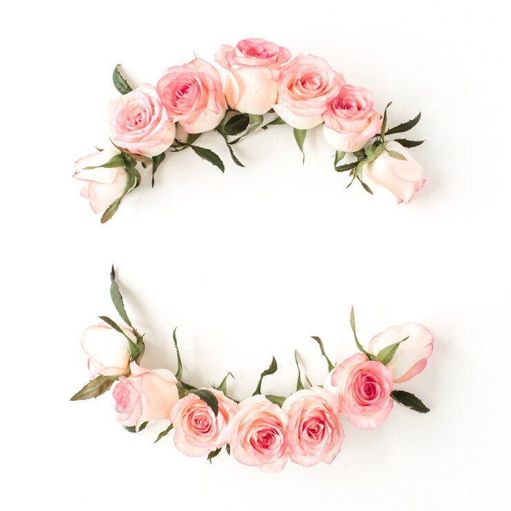 Borda de moldura redonda de botões de flores de rosa rosa na superfície branca