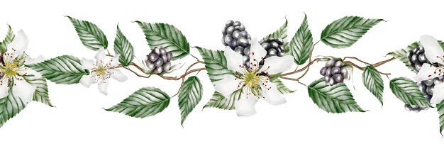Foto borda perfeita de aquarela de casamento com flores brancas e frutas pretas