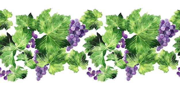 Borda sem costura aquarela com pincéis de uva ramos e folhas de várias variedades de uvas