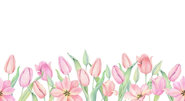 Borda sem costura floral Ornamento de tulipa rosa em aquarela Ilustração em aquarela desenhada à mão Elementos de design decorativo
