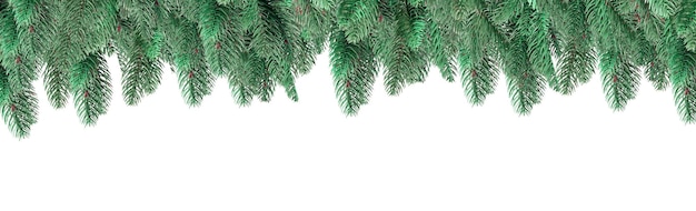 Borda superior do ramo de abeto. borda de natal com galhos verdes de abeto. ornamento de natal e ano novo, banner.