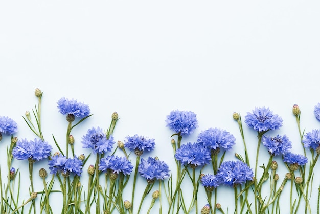 Borde de acianos azules en un espacio de copia de vista superior de tarjeta de felicitación de fondo azul claro