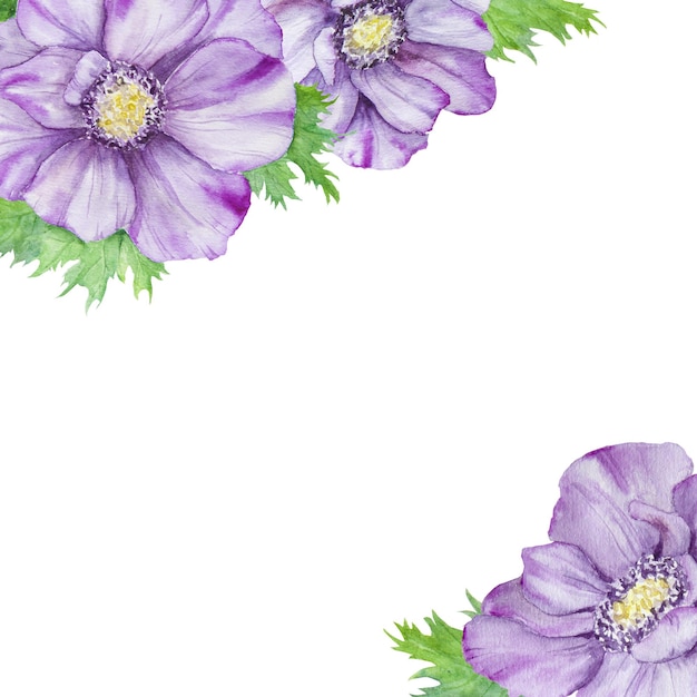 Borde de acuarela dibujado a mano de anémonas moradas con hojas verdes Composición de primavera para invitaciones de boda tarjetas de felicitación