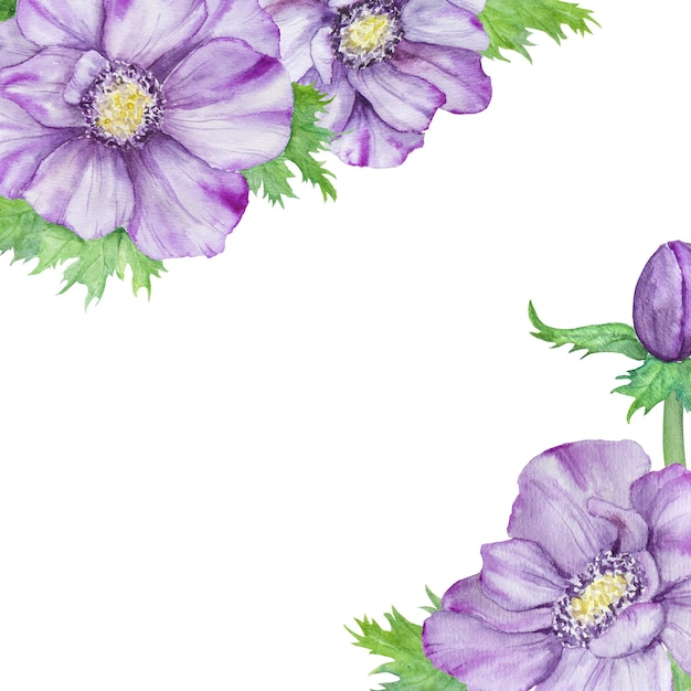 Borde de acuarela dibujado a mano de anémonas moradas con hojas verdes Composición de primavera para invitaciones de boda tarjetas de felicitación