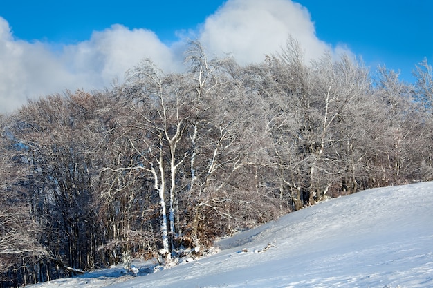 Borde del bosque de hayas de montaña de octubre y primera nevada del invierno