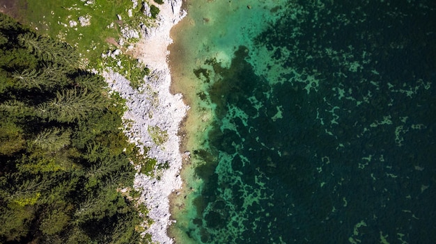 Borde del bosque en el lago con Rocky Shore Drone aéreo Vista de arriba hacia abajo Patrón natural abstracto