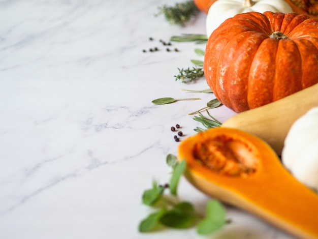 Borde de calabazas de varios tamaños y colores y diferentes hierbas y especias crudas sobre fondo de mármol