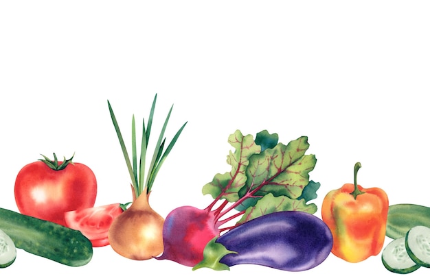 Borde sin costura de pimienta cebolla remolacha berenjena tomates y pepino verduras frescas y saludables acuarela ilustración a mano dibujo para diseñadores diseño de postal clipart en blanco