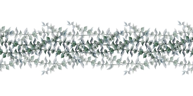 Borde sin costuras de eucalipto floral con ilustración de acuarela botánica de ramas de dólar de plata