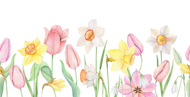Borde floral sin costuras Acuarela rosa tulipán amarillo y blanco narcisos ornamento
