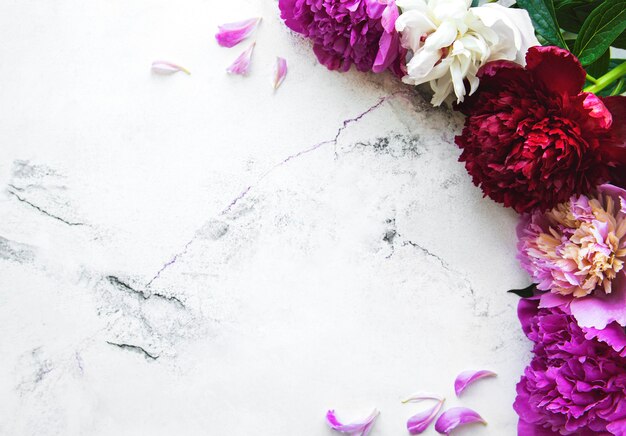 Borde de flores de peonía rosa fresca con espacio de copia sobre fondo de mármol blanco, plano.